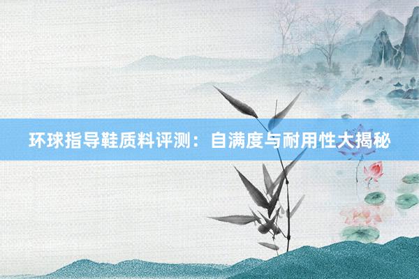 环球指导鞋质料评测：自满度与耐用性大揭秘